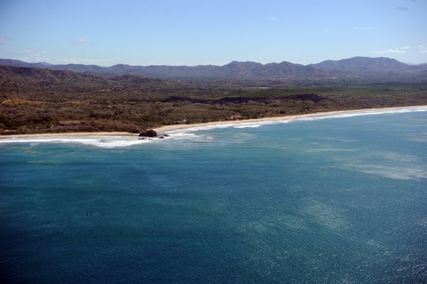 Costa Rica Gana Litigio Por Expropiaci n De Parque Las Baulas En Juicio 