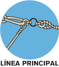 cuerda principal