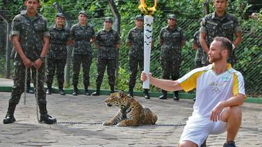 Militares brasileños sacrifican a jaguar que escapó tras exhibición de antorcha olímpica 