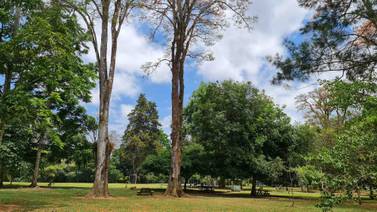 Parque del Este: Una joya verde en Montes de Oca