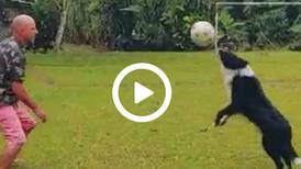 Ex volante de Herediano y Alajuelense Kenneth Paniagua muestra en un video la habilidad de su perro con la pelota