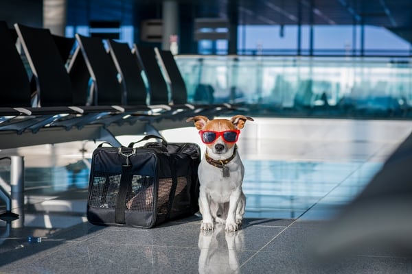 ¿Qué debo hacer si planeo viajar al exterior con mi 