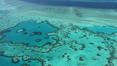 La Gran Barrera de Coral amenazada por la contaminación