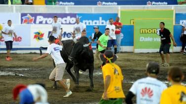 INS y encargados de redondel de Zapote chocan por cobertura de póliza para toreros improvisados