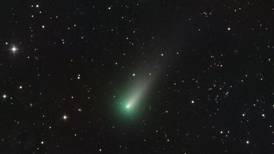 Cometa Leonard será visible a mediados de diciembre: cuándo y cómo verlo