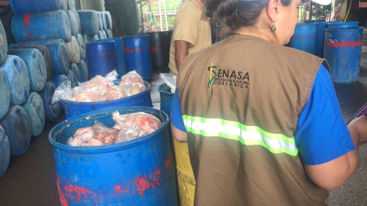 Autoridades decomisan 710 kilos de carne de dudosa procedencia en barrio Chino. Foto Policía Municipal de San José.