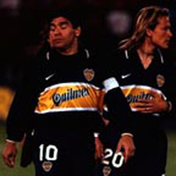 El Pajaro Quiere Volar La Nacion