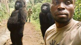 Guardabosques describe cómo se tomó selfie con dos gorilas