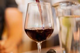Wine Picnic 2024: Un fiesta para los sentidos en Campo Lago