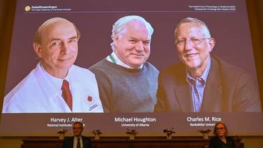 Premio Nobel de Medicina para tres descubridores del virus de la hepatitis C