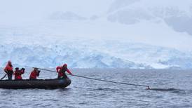 Ballena minke se alimenta como un 'Pac-man' en la Antártida