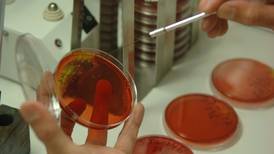 Colegio de Microbiólogos deberá incorporar a alumnos graduados en ‘U’ privadas