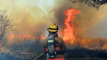 Agricultor va a juicio por   causar incendio forestal