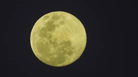 Luna llena de febrero ¿cuándo es y por qué parece durar más noches?