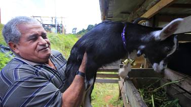 Mino Padilla disfruta de su jubilación entre cabras, codornices y cultivos de todo tipo