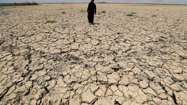 Jardín del Edén iraquí ahora ‘parece un desierto’ por sequía