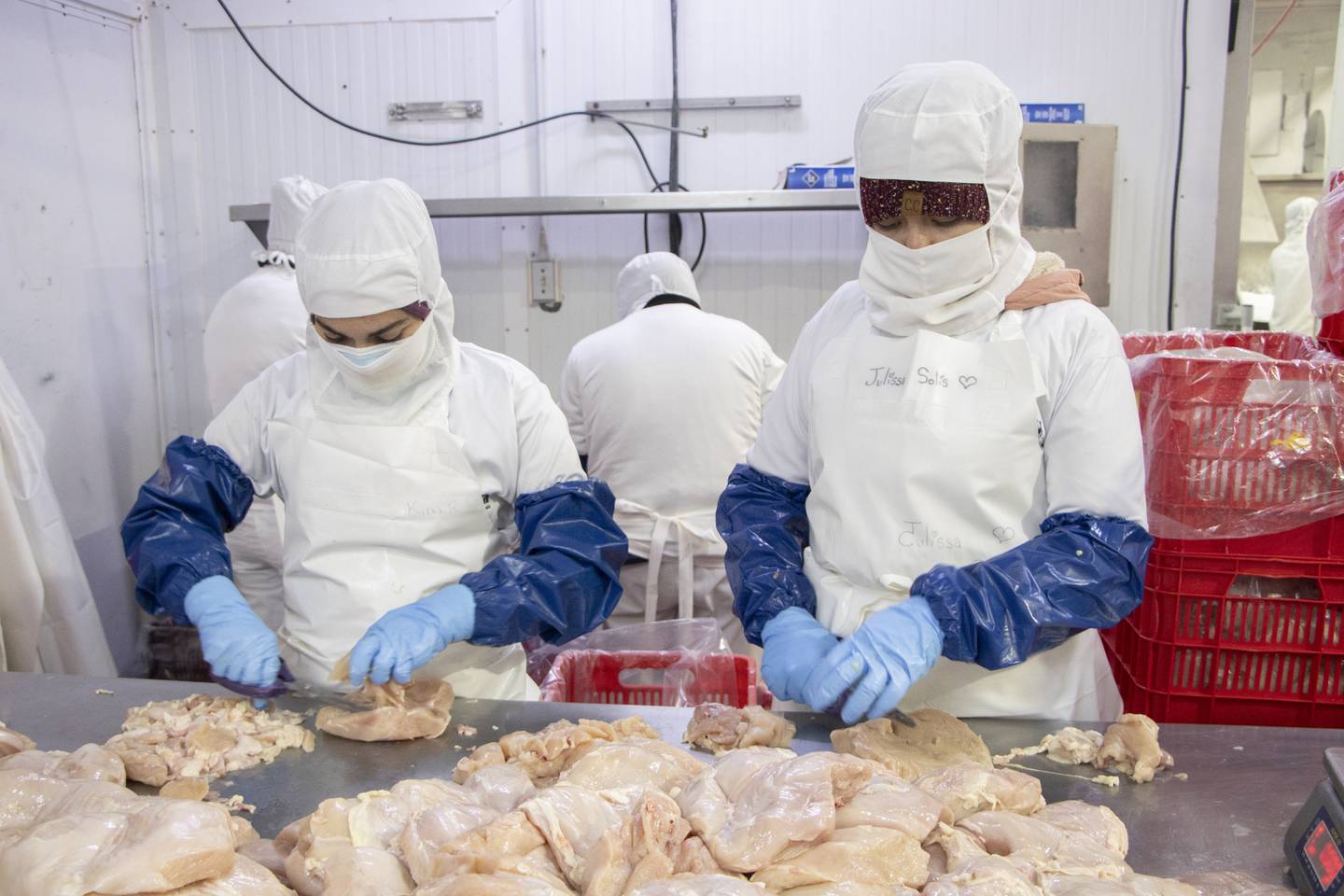 Corporación Multi Inversiones (CMI) inauguró su nueva planta avícola San Miguel el 17 de abril, donde ya opera y realiza labores de empacado de pollo.