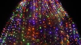 20.000 puntos de luz iluminan la época navideña en el Hospital de Niños