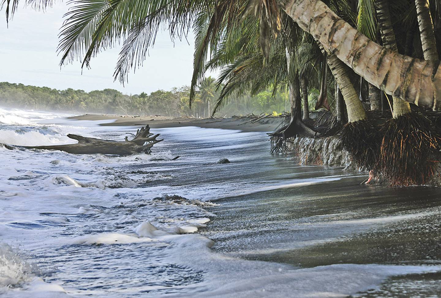 Las costas del Pacífico y del Caribe costarricense presentan serios problemas de erosión. Se proyecta que este fenómeno se agravará en las próximas décadas.  En el Caribe, el Parque Nacional Cahuita y el Refugio Nacional de Vida Silvestre Gandoca-Manzanillo son algunos de los sitios más afectados por la erosión costera.