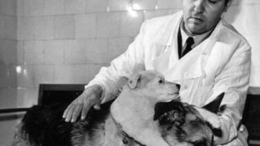 ‘Frankenstein’: experimento que logró colocar una segunda cabeza a un perro