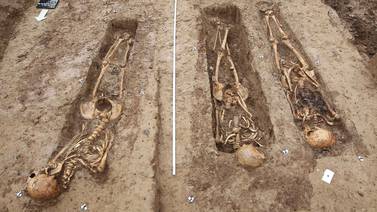 Encuentran esqueletos de soldados del ejército de Napoleón