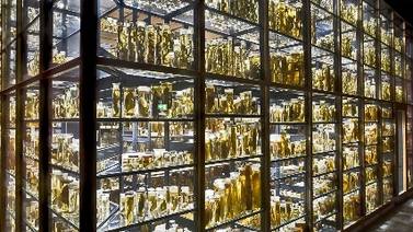 Museo exhibe antiguos frascos con especies