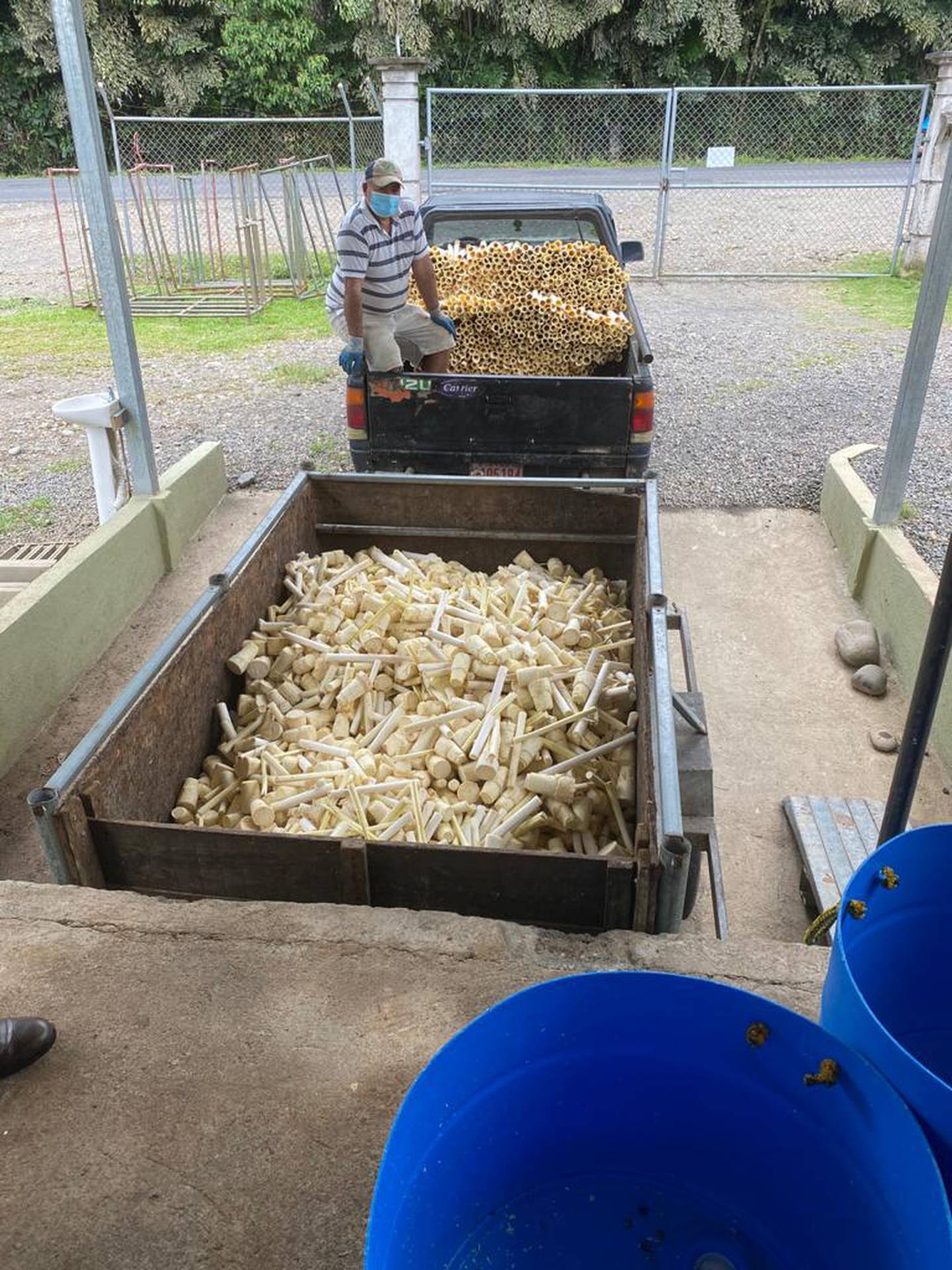La empresa Palmini abrió una industria, en la cual con tecnologia se producen espaguetis y granos tipo arroz a base de palmito. Esto dará impulso a la producción. Foto: Cortesía.