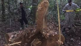 OIJ indaga si restos  hallados en   tronco son de cazador fugitivo