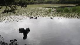 Obras para sacar agua de Laguna de Doña Ana enfrenta a vecinos con Municipalidad