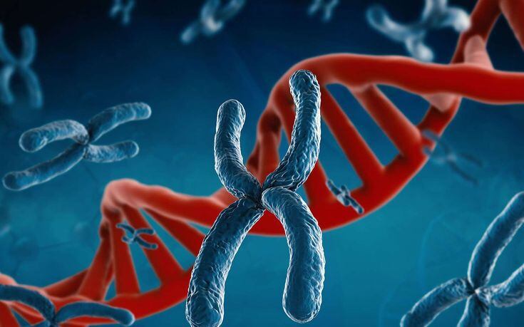 Los investigadores de un estudio revelaron que las personas portadoras del gen MC1R aparentaban dos años más mayores.