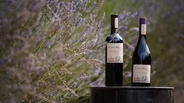 Estas son las bondades del vino orgánico