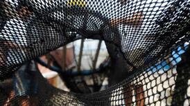 Pesca de arrastre: Gobierno lanzará al mar red de ley vetada en 2020