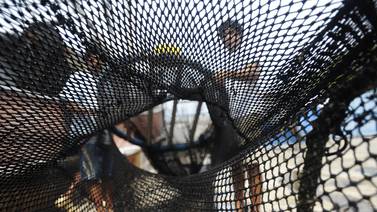  Pescadores artesanales critican nueva política camaronera