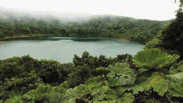 Laguna del Poás tiene vida: es hogar de insectos acuáticos y bacterias