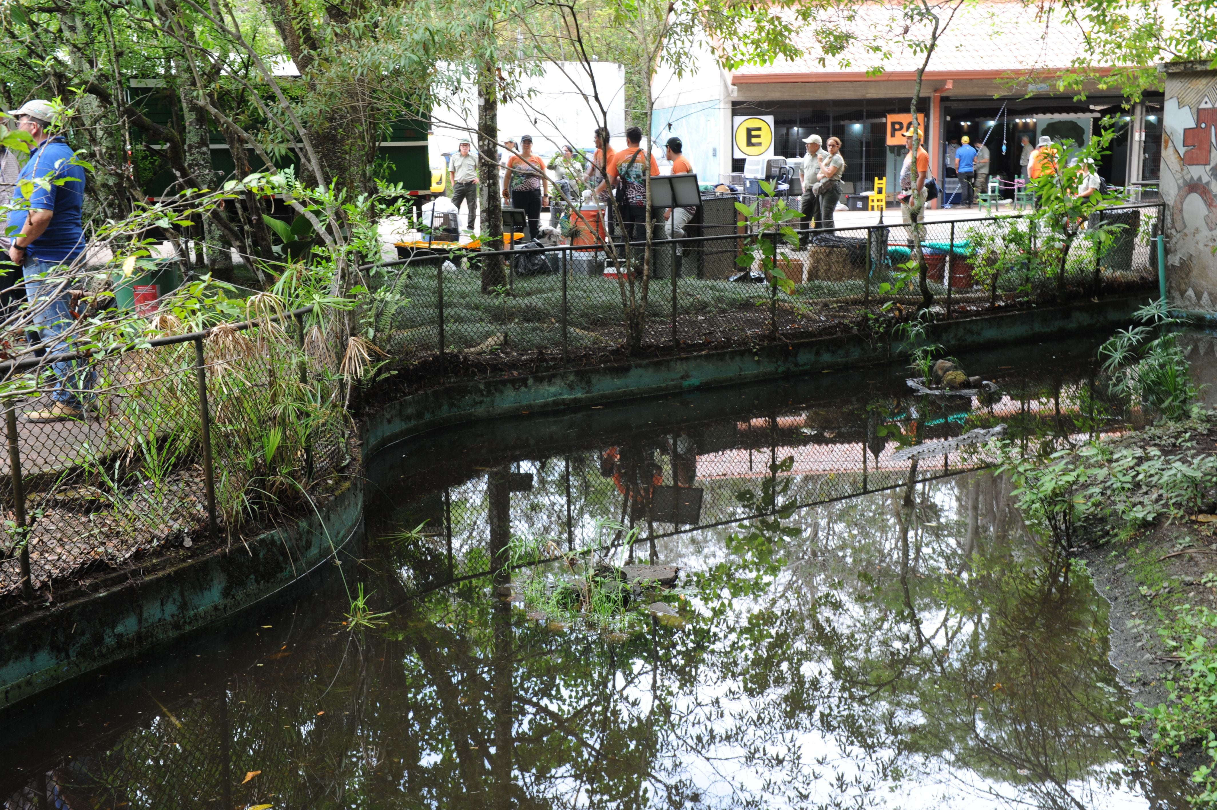 Personal de Minae, Sinac y Senasa comenzaron el desalojo del zoológico Simón Bolívar desde temprano este sábado 11 de mayo. Fotos: Marvin Caravaca.