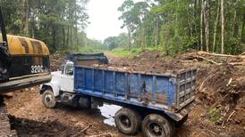 Guardaparques descubren tala ilegal en Pococí