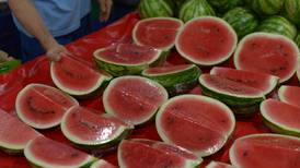 Empresa costarricense exportó primer cargamento de melón y sandía orgánicos a Europa