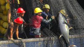 Gobierno propone limitar pesca de atún a barcos extranjeros