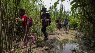 120.000 niños migrantes cruzaron la peligrosa selva del Darién en 2023
