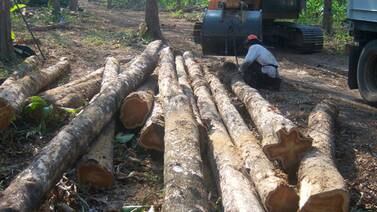  Menor disponibilidad de madera en Costa Rica afecta las ventas al extranjero