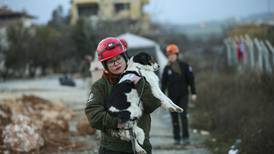 Las ticas que viajaron a Turquía para rescatar animales del caos del terremoto