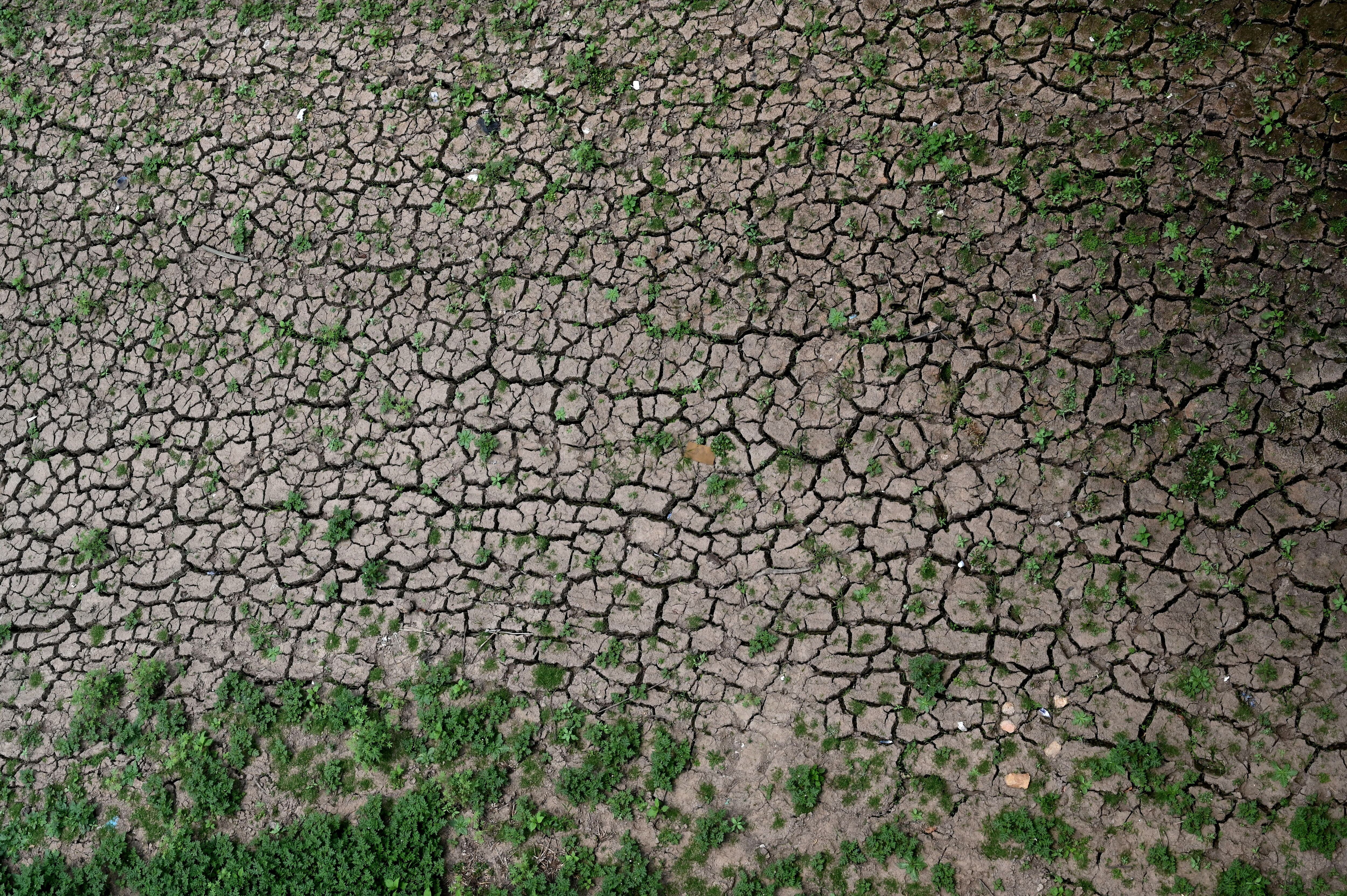 Vista de un afluente de la represa Los Laureles, que abastece de agua potable a la capital hondureña. La sequía que azota la zona amenaza la seguridad alimentaria de los habitantes de la región del Trifinio, en las costas de Honduras, Guatemala y frontera salvadoreña.