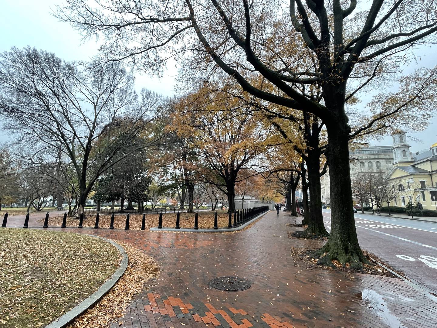 Washington dispone de hermosos parques en los que puede dar un agradable paseo.