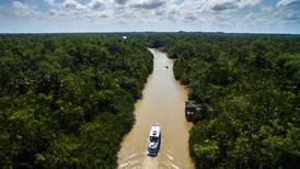 Cumbre en Brasil busca una ruta para salvar la Amazonía 