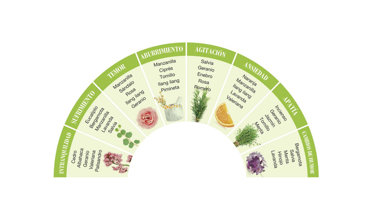 Los aromas tienen capacidades curativas La Nación