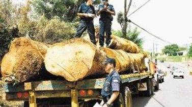 Tecnología se alía al Sinac para combatir la tala ilegal