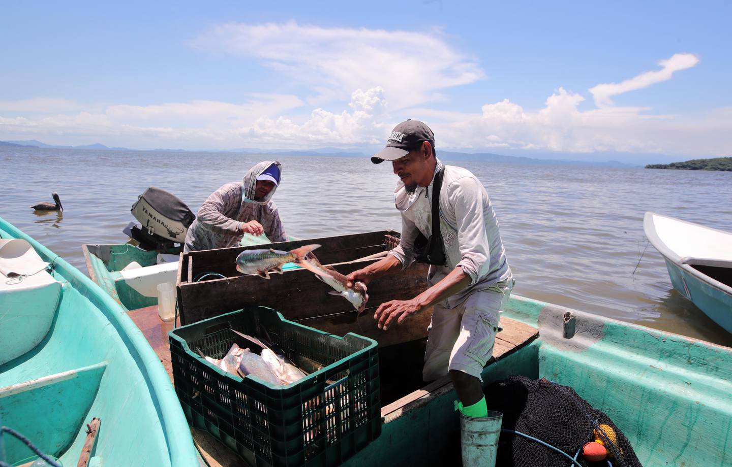 Gobierno suspende préstamo del Banco Mundial por $75 millones para sector  pesquero | La Nación