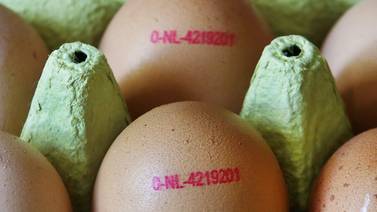Alemania alza el tono tras escándalo de los huevos contaminados