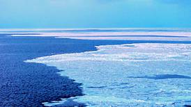 Hielo de la Antártida crece a pesar de que mundo está más caliente