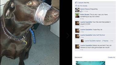 Foto en Facebook de perro con el hocico amarrado con cinta adhesiva desata polémica en EE. UU.